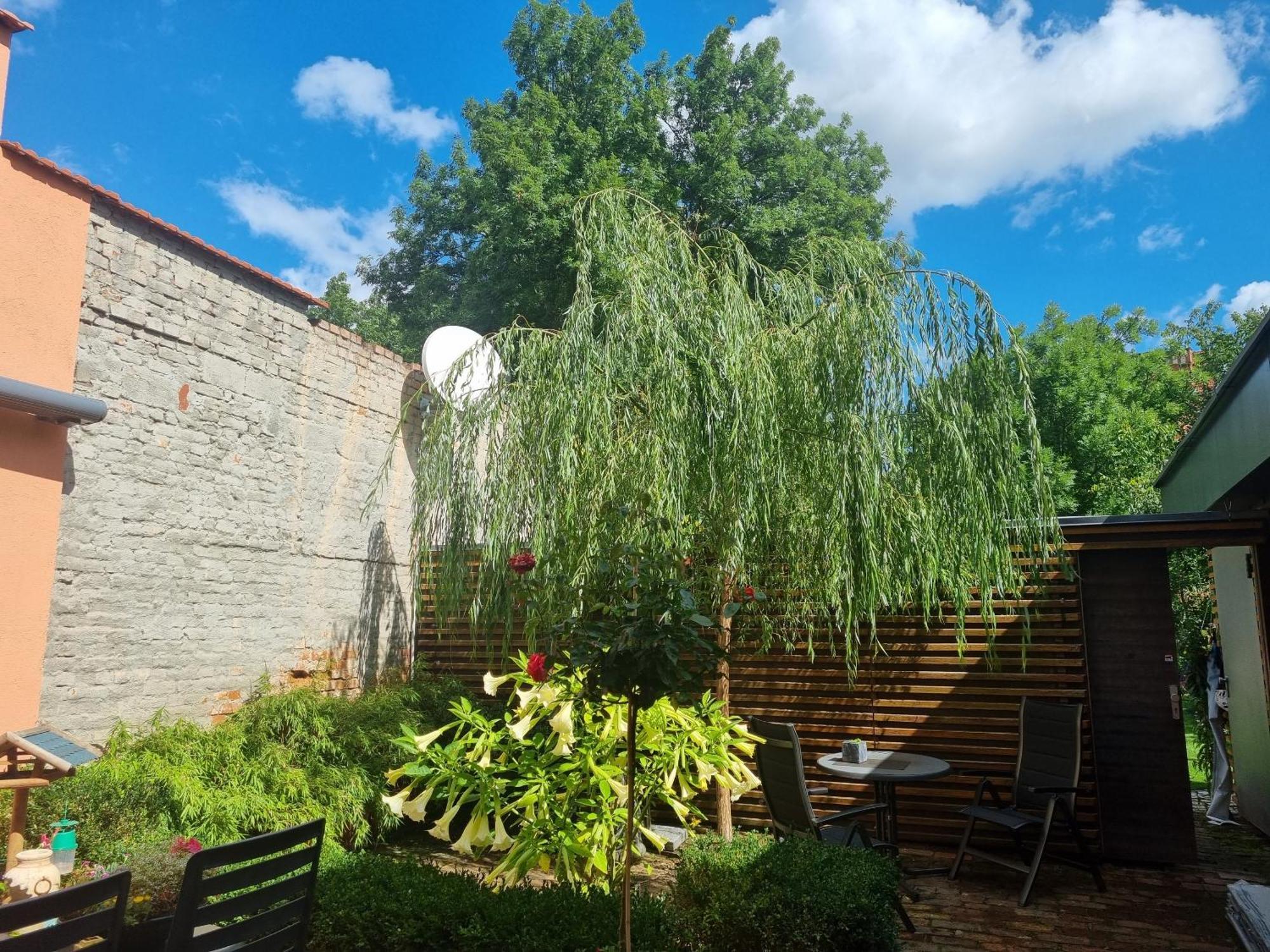 Apartments Junger-Moritz Erfurt Quarto foto